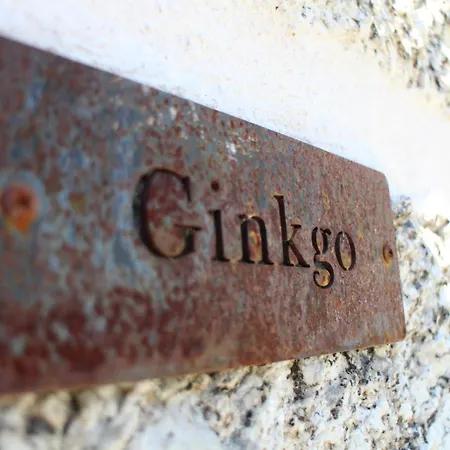 Quinta Da Mouta * Vieira do Minho