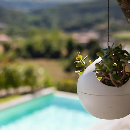 Quinta Da Mouta Feriegård Vieira do Minho