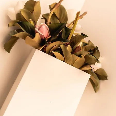 Quinta Da Mouta Alloggio per agriturismo