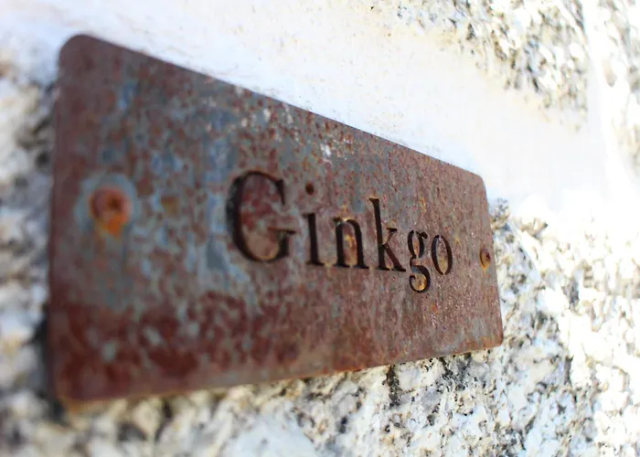 Quinta Da Mouta * Vieira do Minho