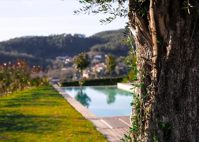 Quinta Da Mouta * Vieira do Minho