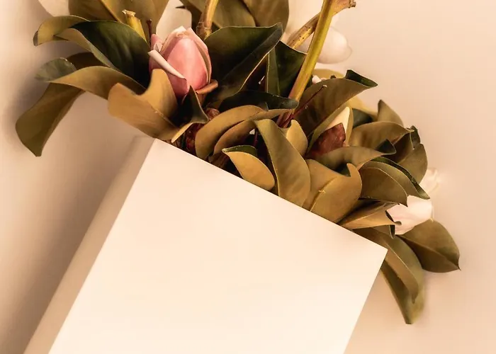 Quinta Da Mouta Agroturismo